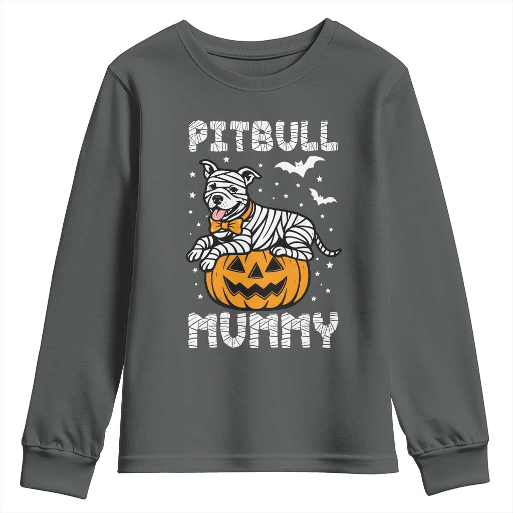 Halloween Dog Lover Youth Sweatshirt Funny Pitbull Mummy TS12 Dark Heather Print Your Wear