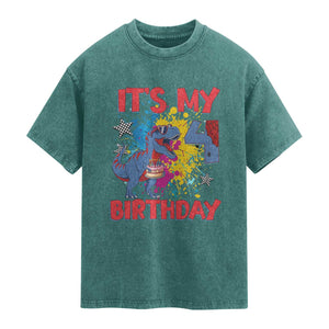 Dino Spider Its My 4th Birthday Washed Cotton T-Shirt Dinosaur Gift For Boys