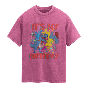 Dino Spider Its My 4th Birthday Washed Cotton T-Shirt Dinosaur Gift For Boys