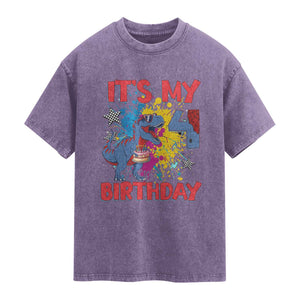 Dino Spider Its My 4th Birthday Washed Cotton T-Shirt Dinosaur Gift For Boys