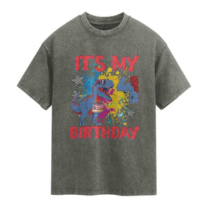 Dino Spider Its My 4th Birthday Washed Cotton T-Shirt Dinosaur Gift For Boys