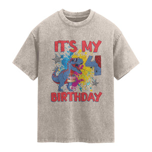 Dino Spider Its My 4th Birthday Washed Cotton T-Shirt Dinosaur Gift For Boys