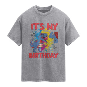 Dino Spider Its My 4th Birthday Washed Cotton T-Shirt Dinosaur Gift For Boys