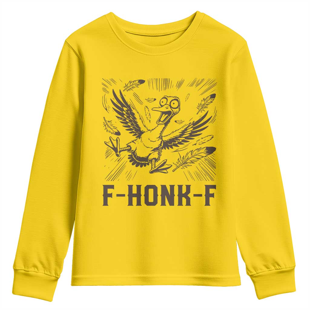 F Honk F Goose Lover Youth Sweatshirt Funny Silly Chaotic Gift TS12 Daisy Print Your Wear