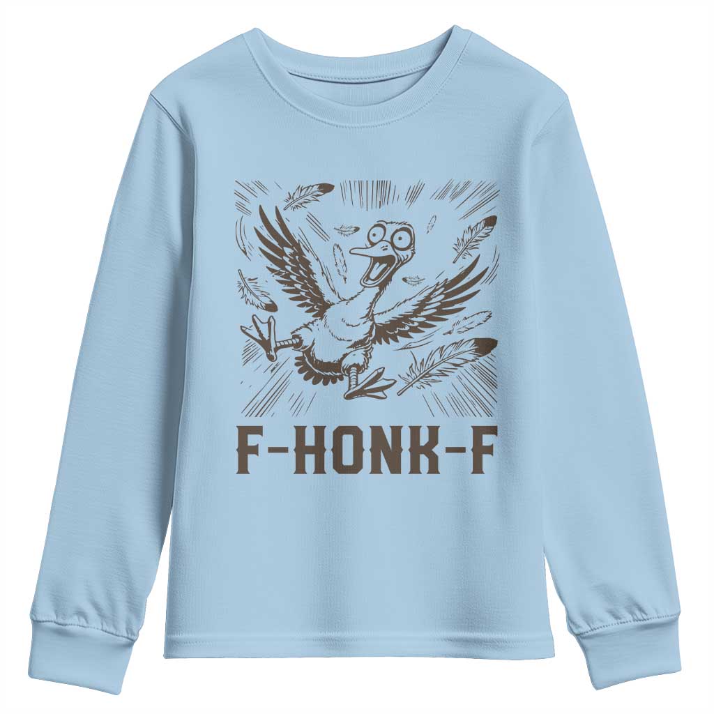 F Honk F Goose Lover Youth Sweatshirt Funny Silly Chaotic Gift TS12 Light Blue Print Your Wear