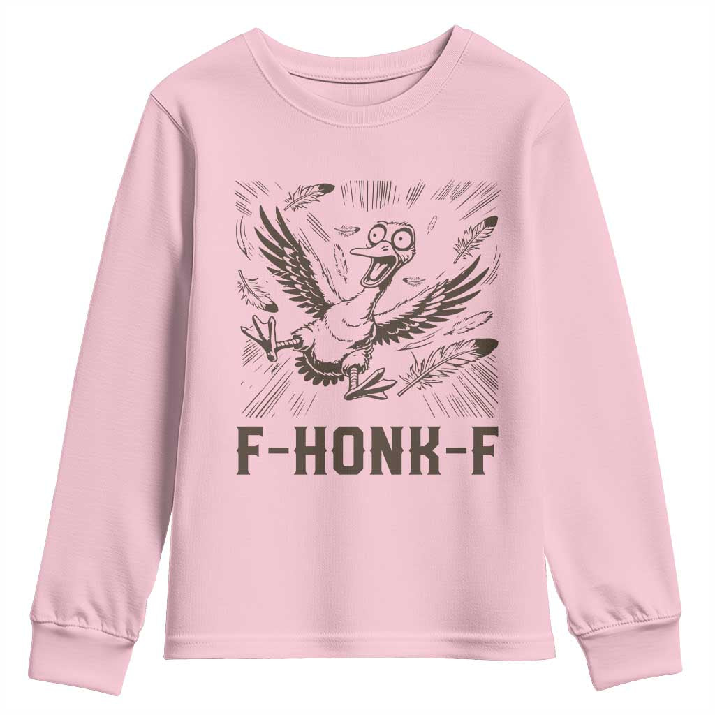 F Honk F Goose Lover Youth Sweatshirt Funny Silly Chaotic Gift TS12 Light Pink Print Your Wear