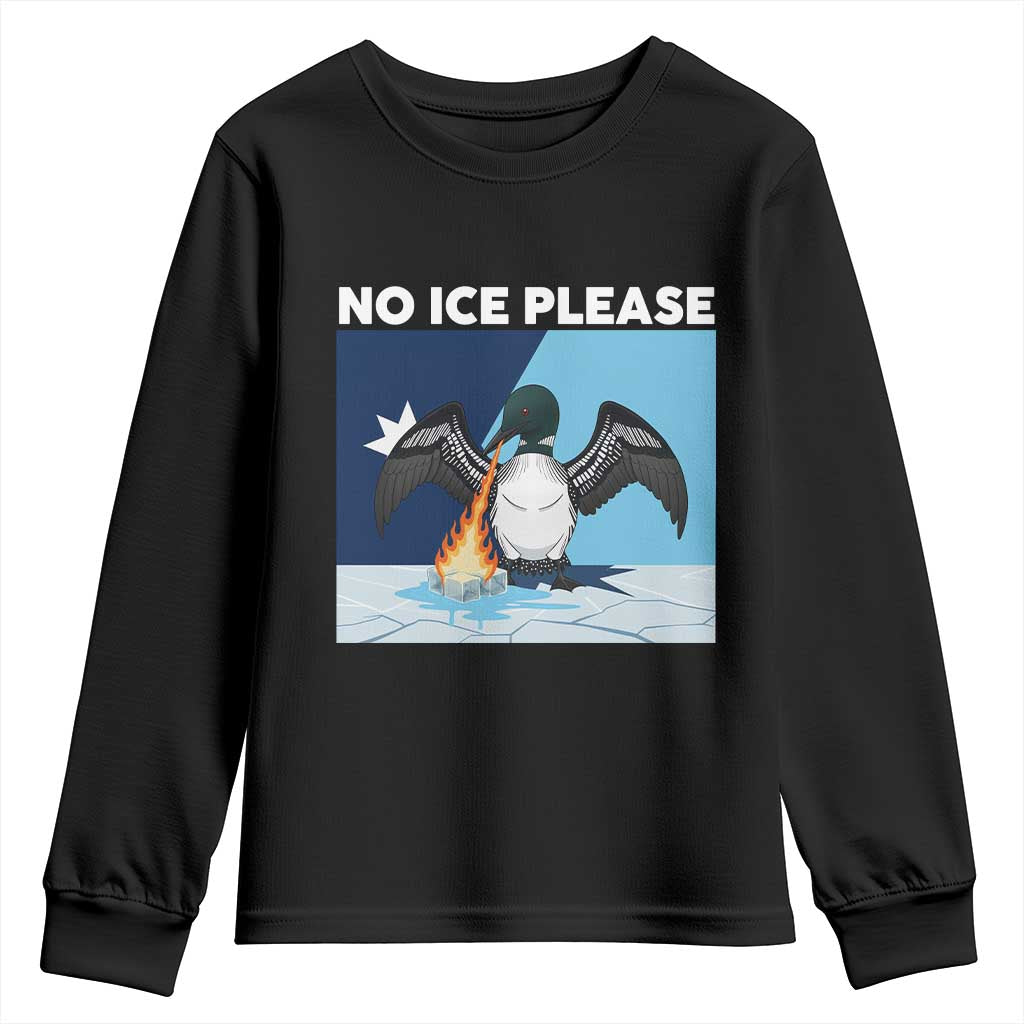 Funny Fire Breathing Loon Youth Sweatshirt No Ice Please TS12 Black Print Your Wear
