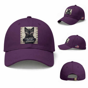 Funny Bad Cat Attitude Baseball Cap In My Defense I Was Left Unsupervised TS12 Baseball Cap Universal Fit Purple Print Your Wear