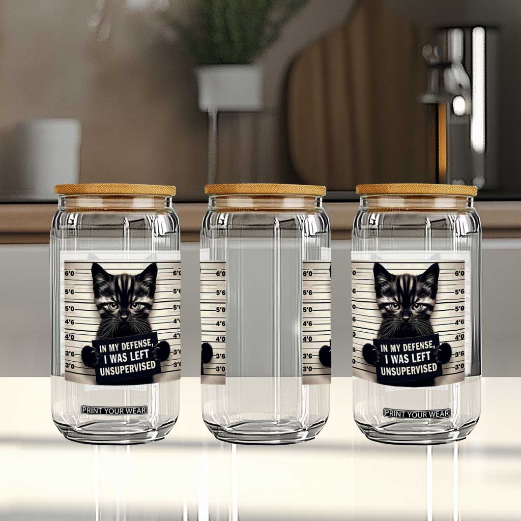 Funny Bad Cat Attitude Glass Can In My Defense I Was Left Unsupervised TS12 Print Your Wear