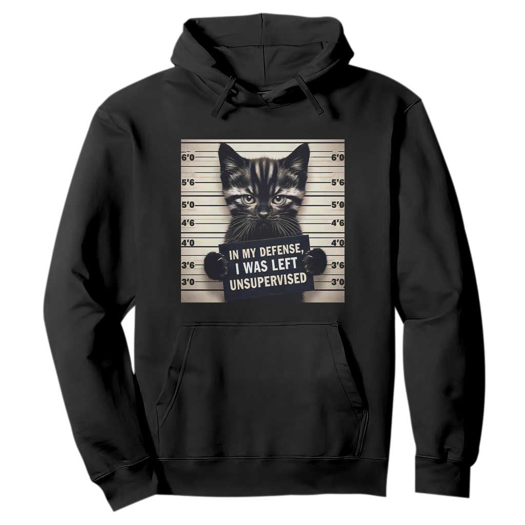 Funny Bad Cat Attitude Hoodie In My Defense I Was Left Unsupervised TS12 Black Print Your Wear