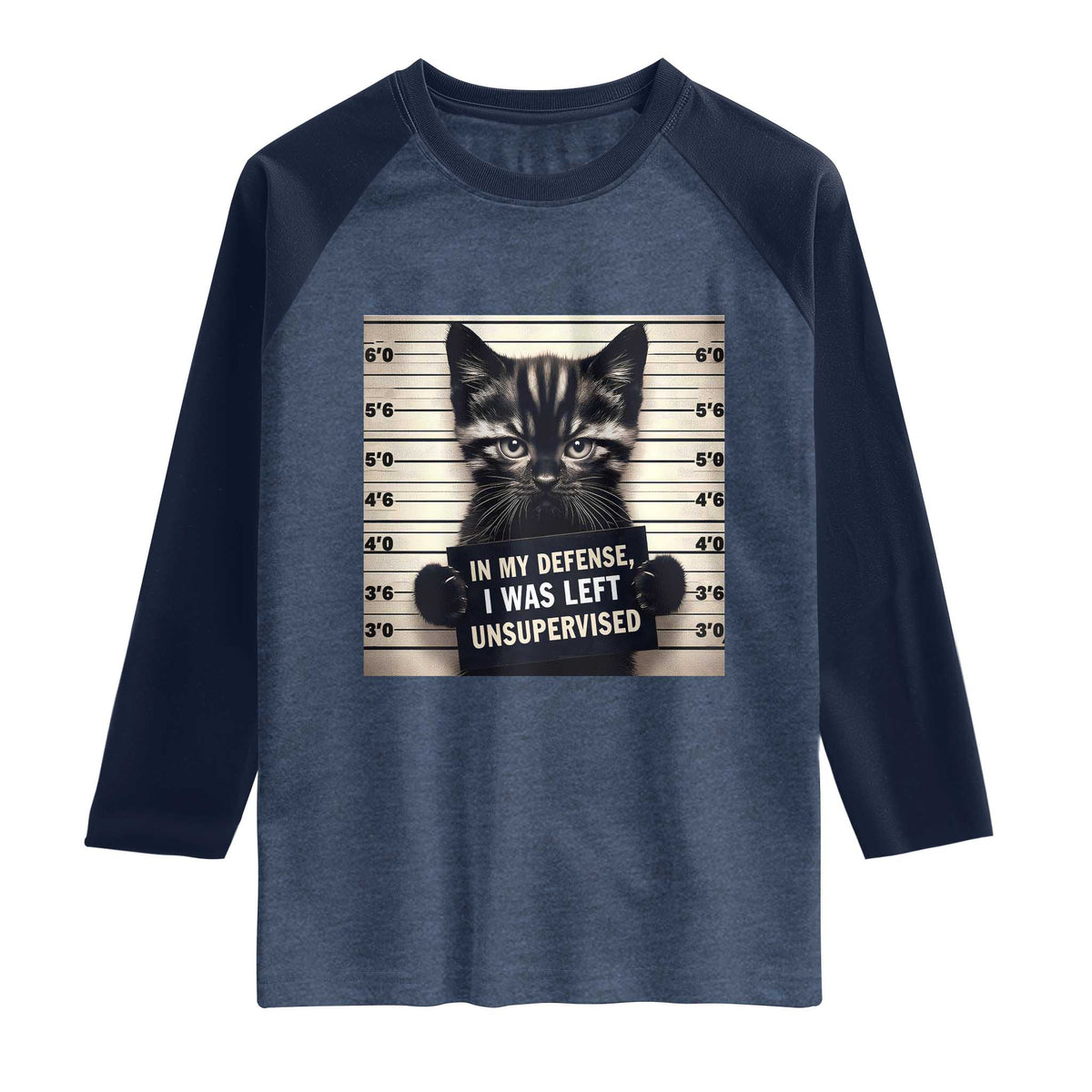 Funny Bad Cat Attitude Raglan Shirt In My Defense I Was Left Unsupervised TS12 Heather Denim Navy Print Your Wear