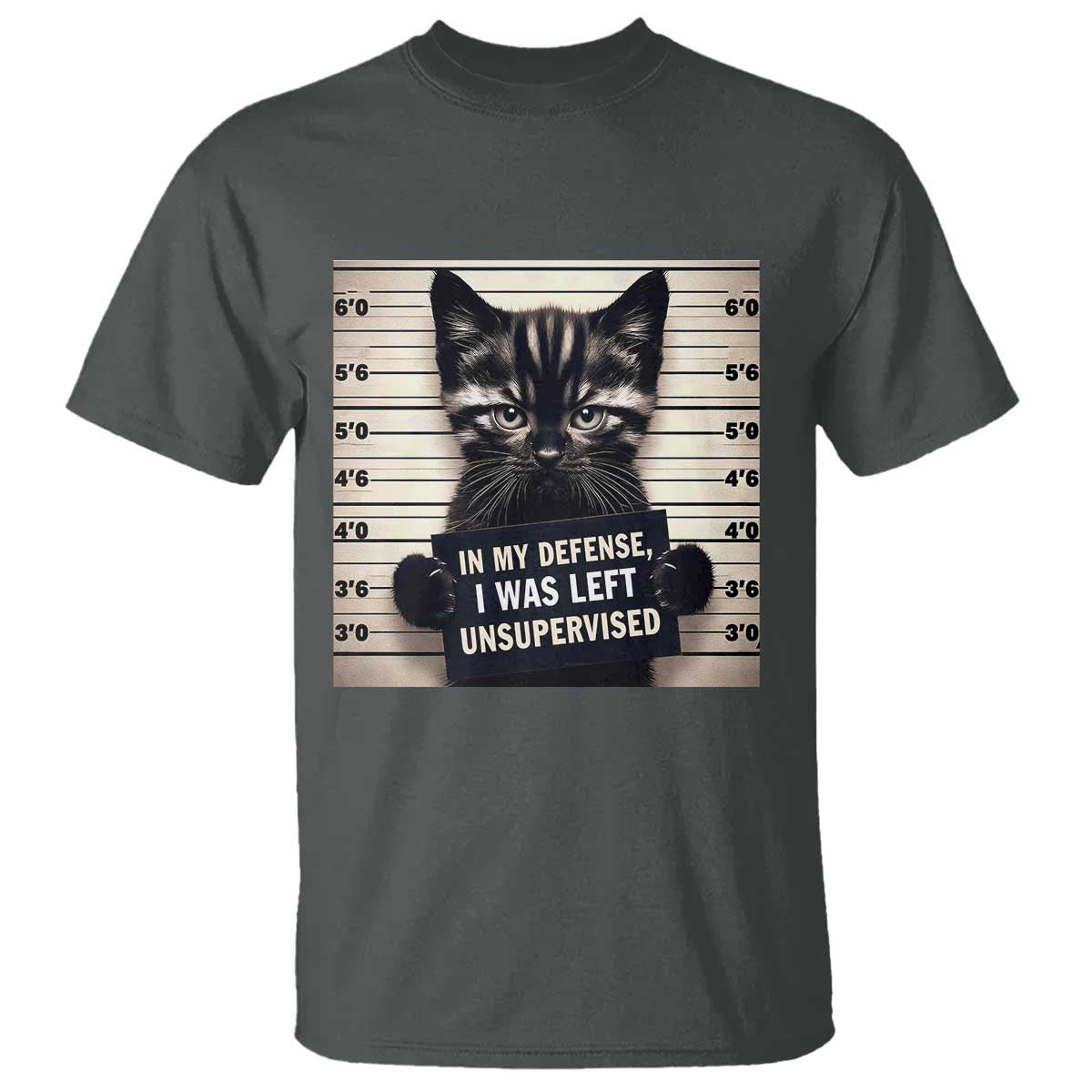 Funny Bad Cat Attitude T Shirt In My Defense I Was Left Unsupervised TS12 Dark Heather Print Your Wear