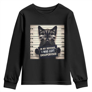 Funny Bad Cat Attitude Youth Sweatshirt In My Defense I Was Left Unsupervised TS12 Black Print Your Wear