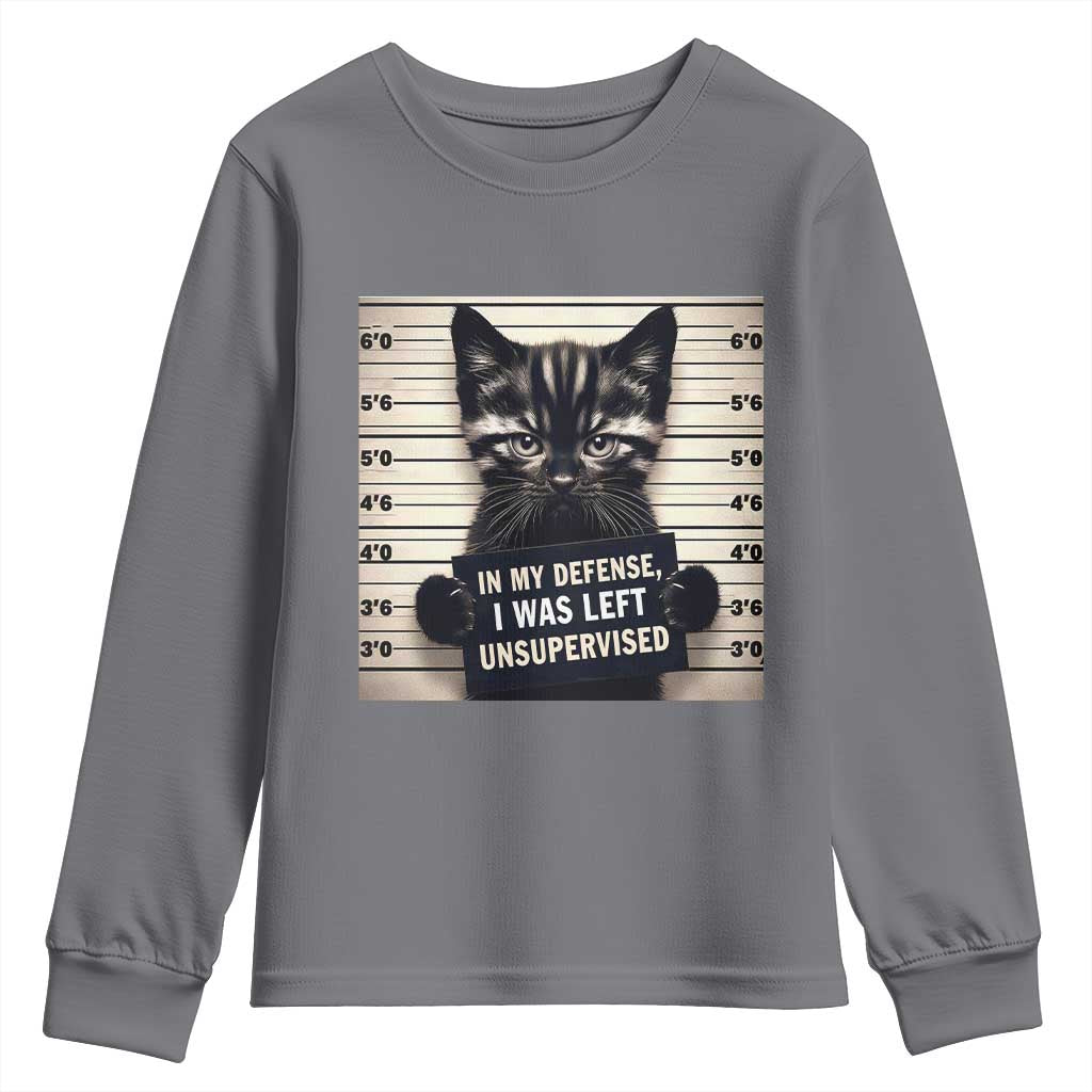 Funny Bad Cat Attitude Youth Sweatshirt In My Defense I Was Left Unsupervised TS12 Charcoal Print Your Wear
