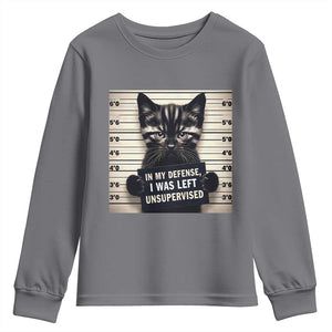 Funny Bad Cat Attitude Youth Sweatshirt In My Defense I Was Left Unsupervised TS12 Charcoal Print Your Wear
