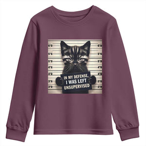 Funny Bad Cat Attitude Youth Sweatshirt In My Defense I Was Left Unsupervised TS12 Maroon Print Your Wear