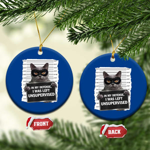 Funny Cat Mugshot Ceramic Ornament In My Defense I Was Left Unsupervised TS12 1pc Blue Print Your Wear