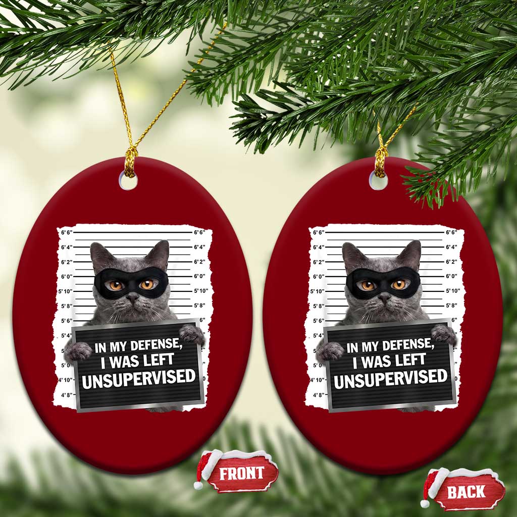 Funny Cat Mugshot Ceramic Ornament In My Defense I Was Left Unsupervised TS12 Print Your Wear