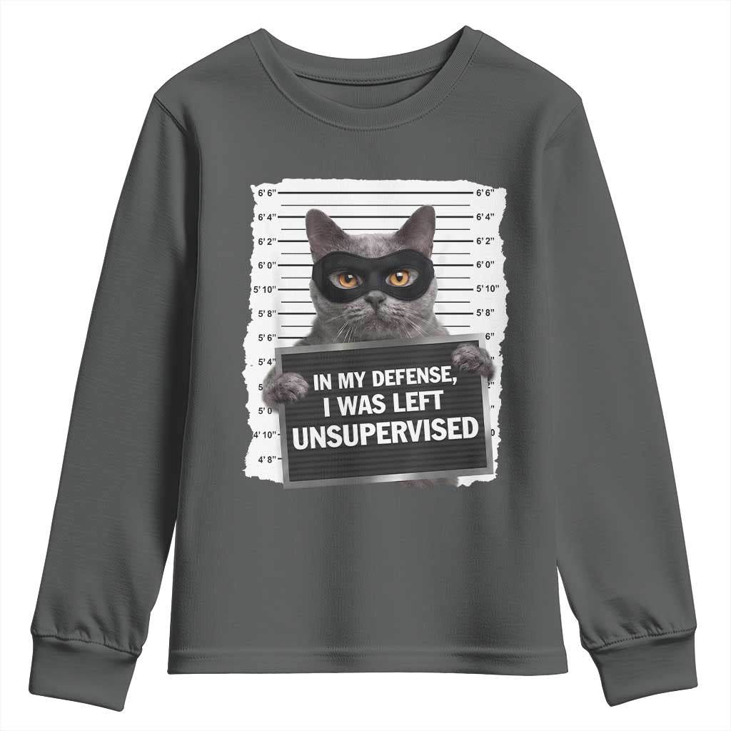 Funny Cat Mugshot Youth Sweatshirt In My Defense I Was Left Unsupervised TS12 Dark Heather Print Your Wear