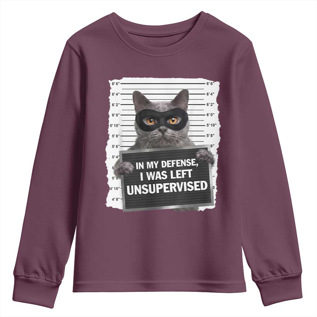 Funny Cat Mugshot Youth Sweatshirt In My Defense I Was Left Unsupervised TS12 Maroon Print Your Wear