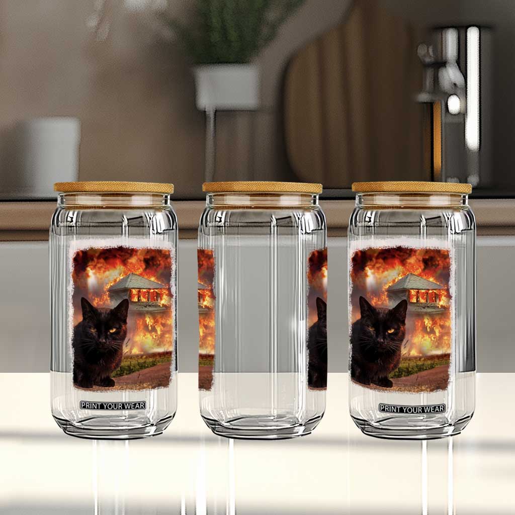 Funny Crazy Cat Selfie Glass Can Bad Kitty Chaos Humor Graphic TS12 Print Your Wear