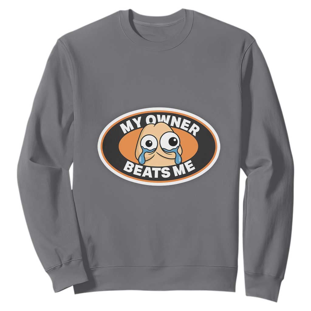 Humorous Dark Humor Sweatshirt My Owner Beats Me TS12 Charcoal Print Your Wear