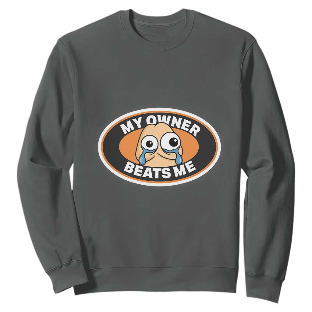 Humorous Dark Humor Sweatshirt My Owner Beats Me TS12 Dark Heather Print Your Wear