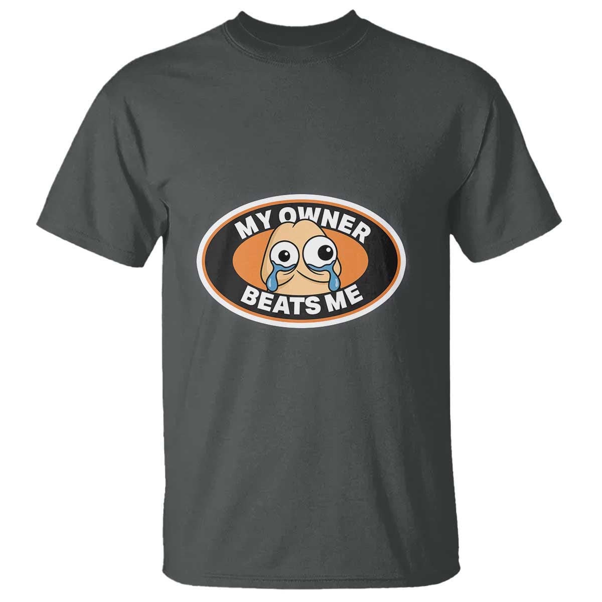 Humorous Dark Humor T Shirt My Owner Beats Me TS12 Dark Heather Print Your Wear