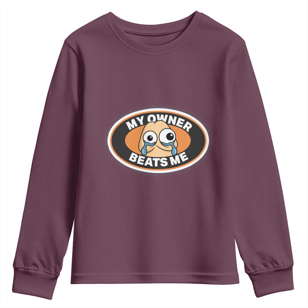 Humorous Dark Humor Youth Sweatshirt My Owner Beats Me TS12 Maroon Print Your Wear