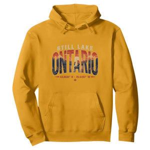 Still Lake Ontario Forever Hoodie Vintage Sunset Retro Outdoors Gift