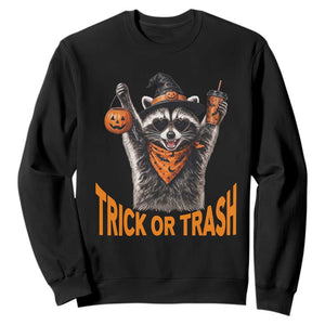 Funny Halloween Witch Raccoon Sweatshirt Trick Or Trash