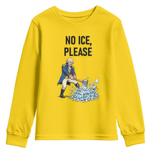 Funny George Washington Political Anti Ice Gift Youth Sweatshirt TS12 Daisy Print Your Wear