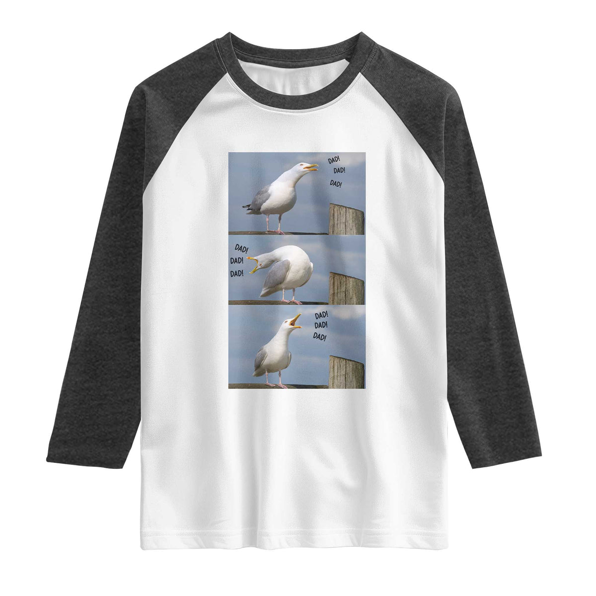 Funny Seagull Papa Raglan Shirt Fathers Day Gift Ocean Life Dad Graphic TS12 White Heather Charcoal Print Your Wear