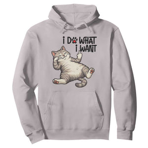 Cat Lover Hoodie Funny I Do What I Want TS12 Ice Gray Print Your Wear