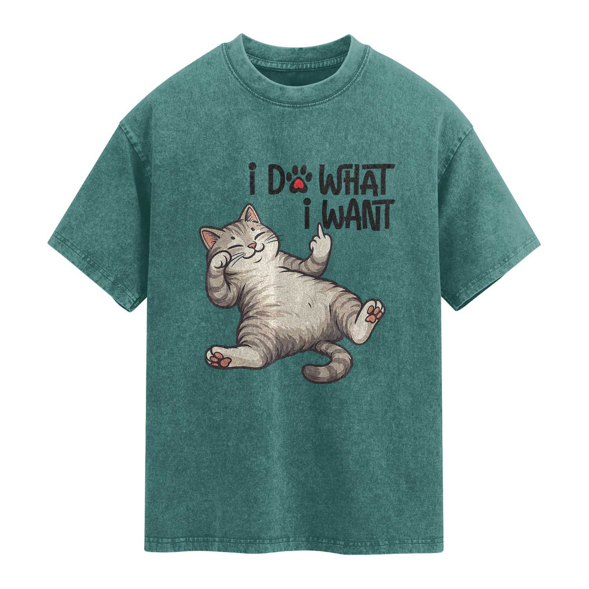 Cat Lover Washed Cotton T-Shirt Funny I Do What I Want