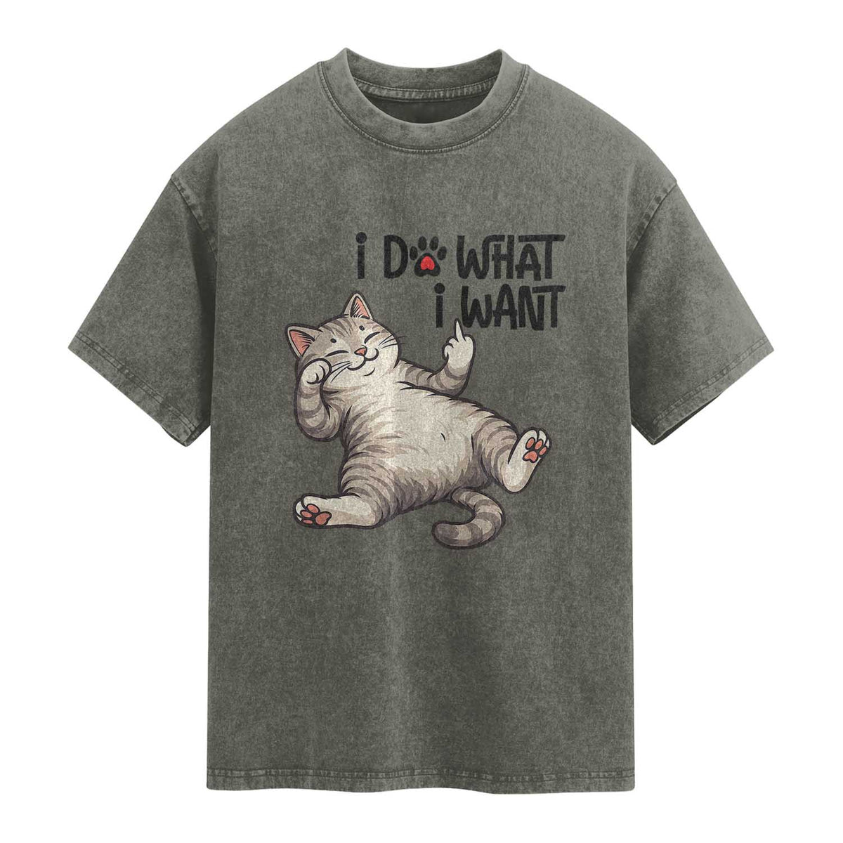Cat Lover Washed Cotton T-Shirt Funny I Do What I Want