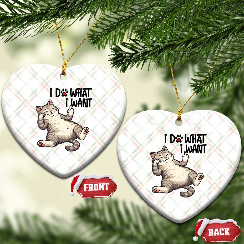 Cat Lover Ceramic Ornament Funny I Do What I Want TS12 Print Your Wear