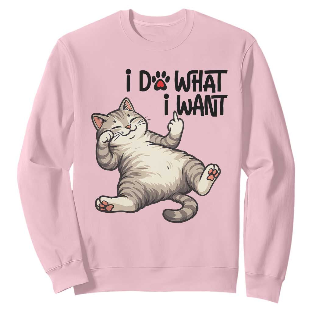 Cat Lover Sweatshirt Funny I Do What I Want TS12 Light Pink Print Your Wear