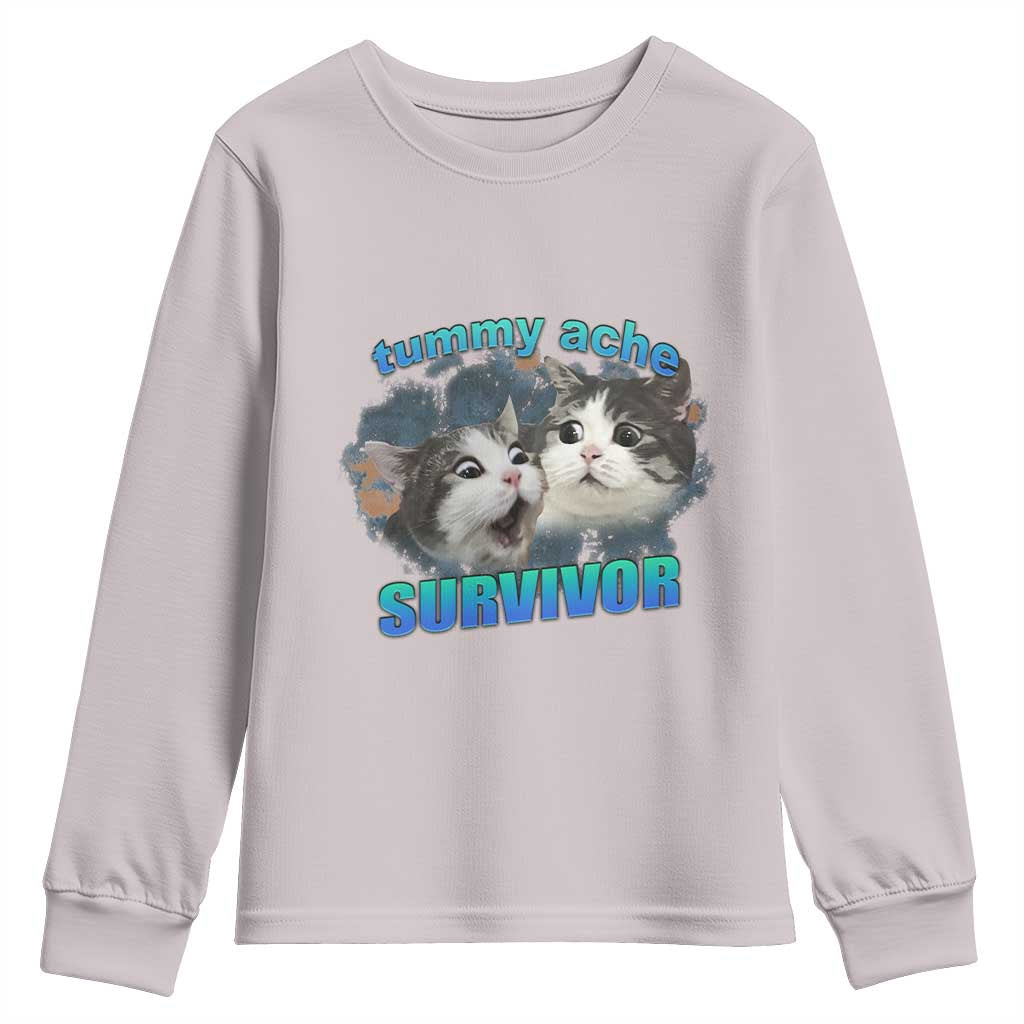 Tummy Ache Survivor Youth Sweatshirt Funny Cat Meme For Cat Lover TS12 Ice Gray Print Your Wear