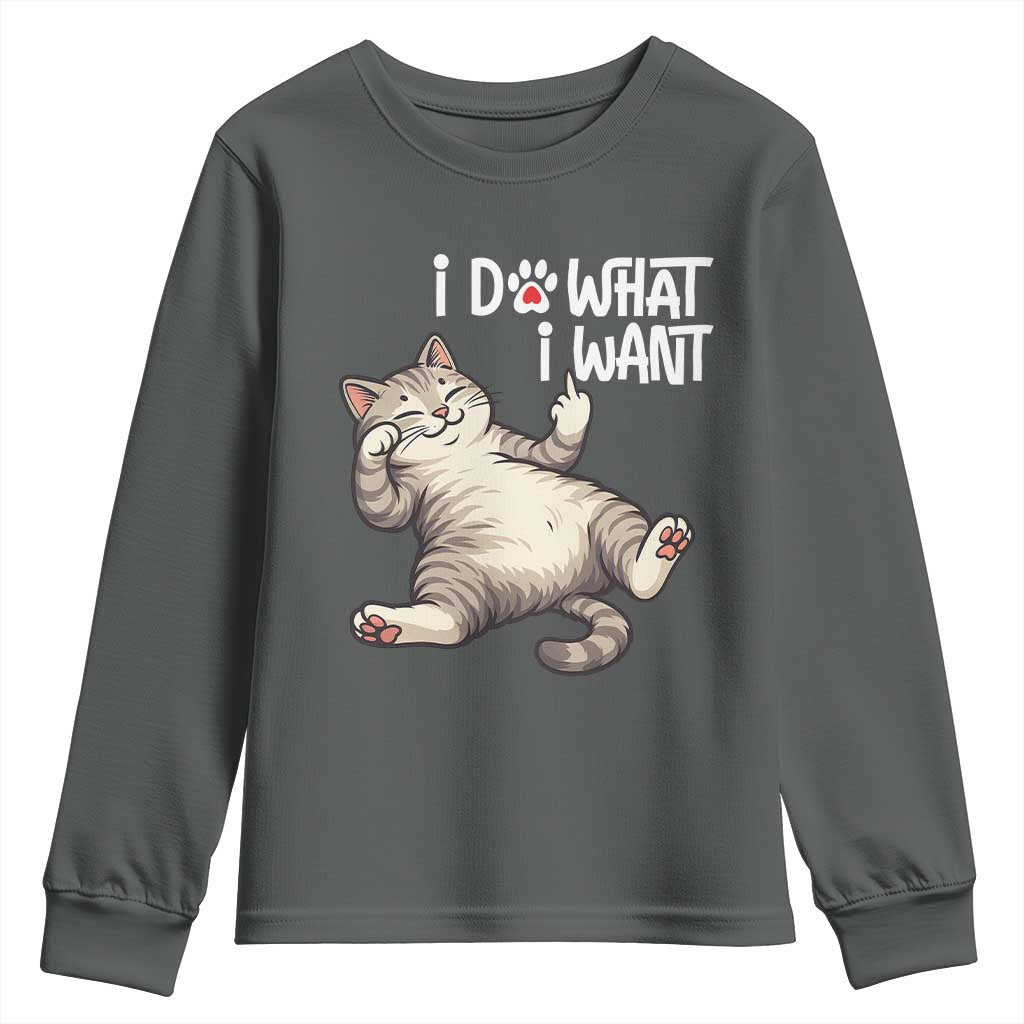 Funny Cat Youth Sweatshirt I Do What I Want TS12 Dark Heather Print Your Wear