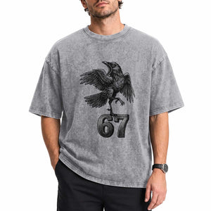 Funny Raven Brainrot Six Seven Meme Gift Washed Cotton T-Shirt