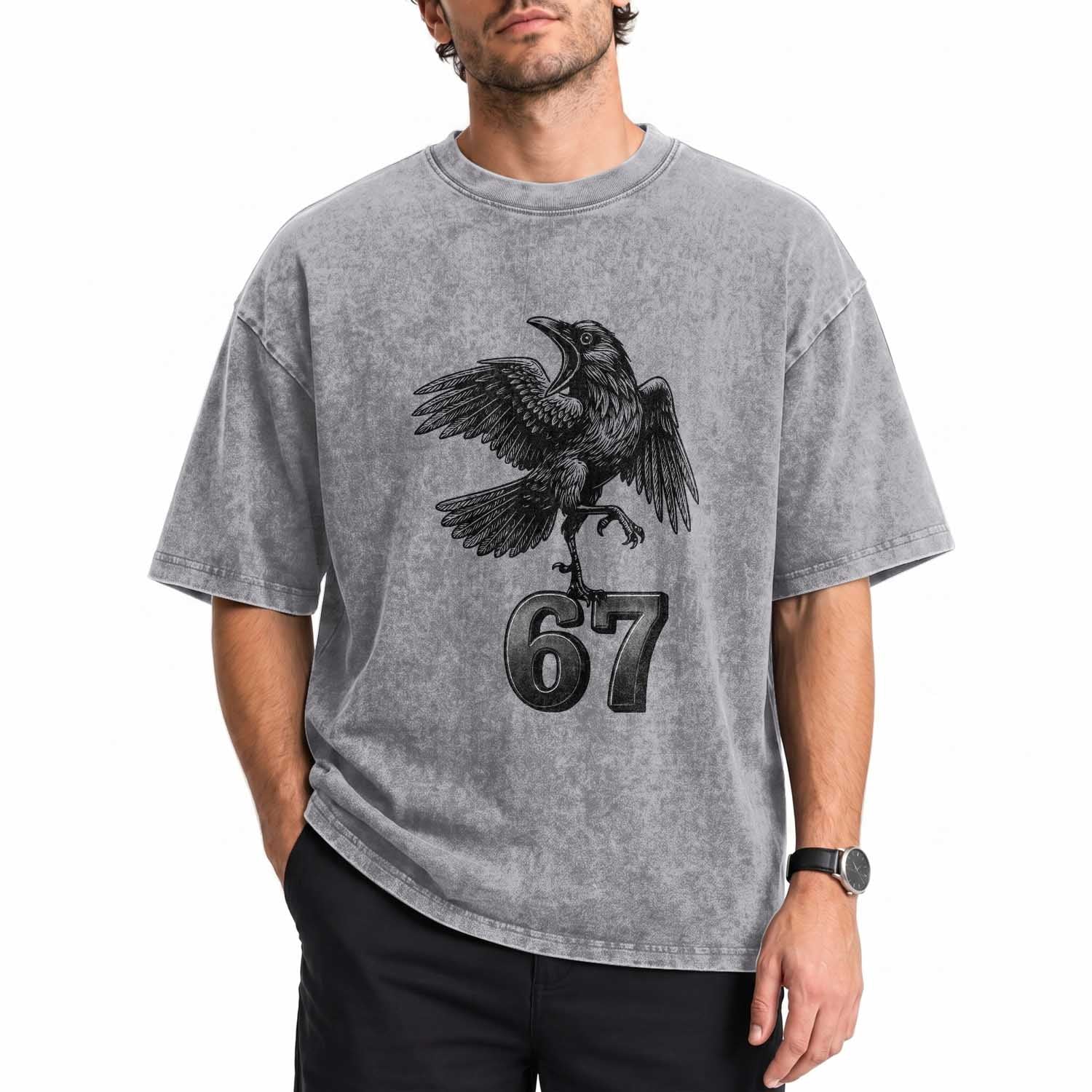 Funny Raven Brainrot Six Seven Meme Gift Washed Cotton T-Shirt