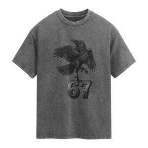 Funny Raven Brainrot Six Seven Meme Gift Washed Cotton T-Shirt