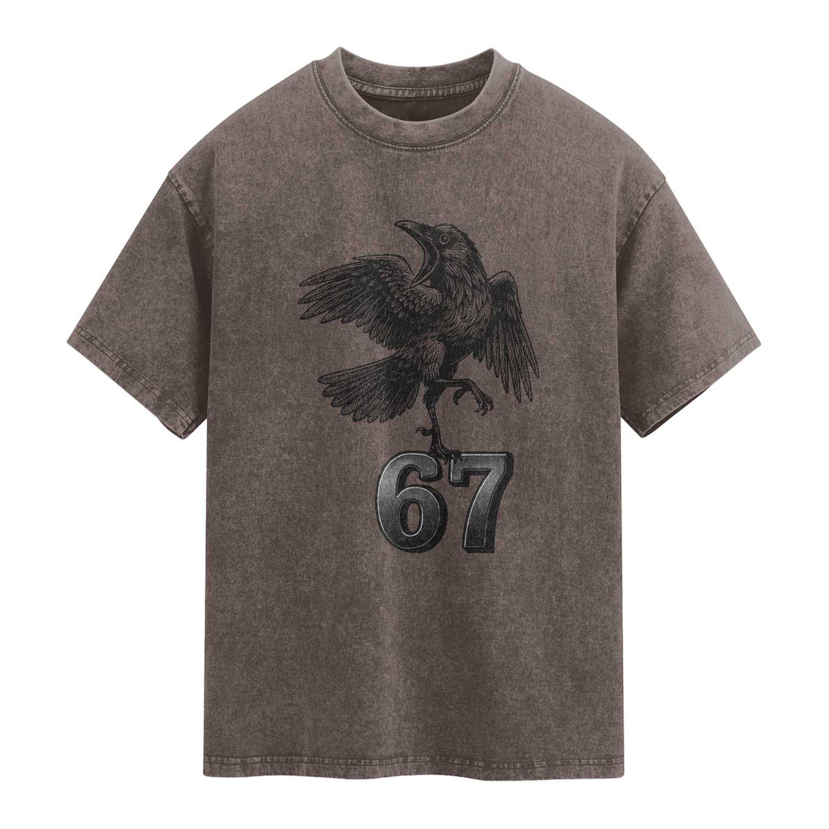 Funny Raven Brainrot Six Seven Meme Gift Washed Cotton T-Shirt