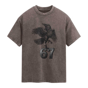 Funny Raven Brainrot Six Seven Meme Gift Washed Cotton T-Shirt