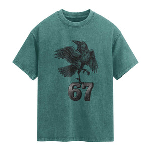 Funny Raven Brainrot Six Seven Meme Gift Washed Cotton T-Shirt