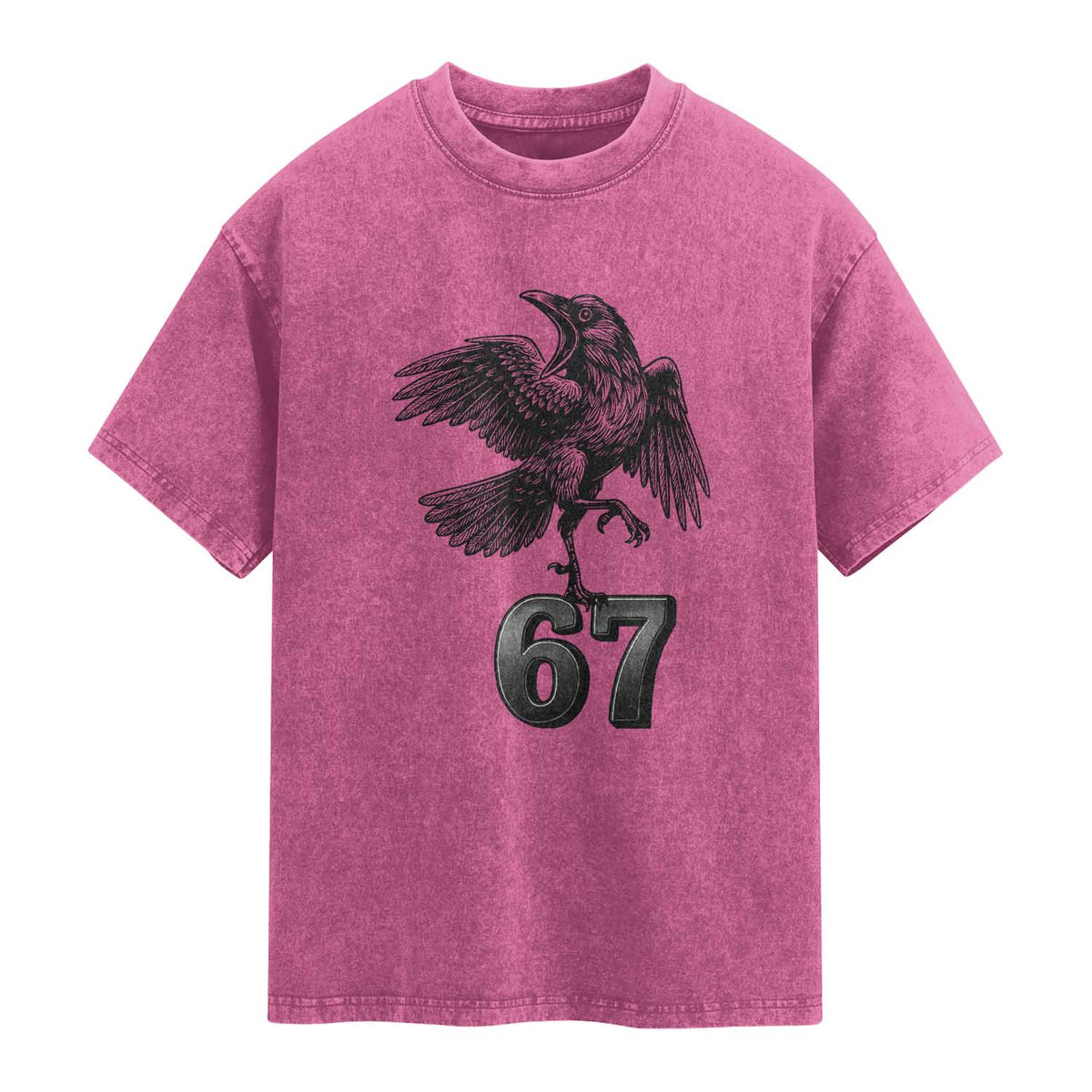 Funny Raven Brainrot Six Seven Meme Gift Washed Cotton T-Shirt