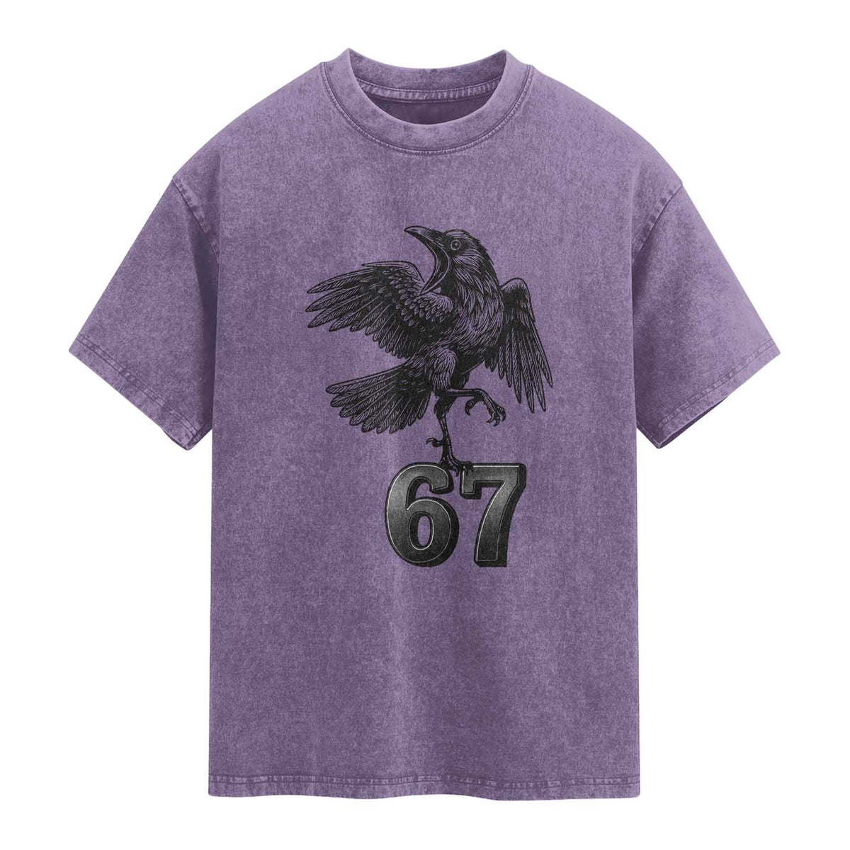 Funny Raven Brainrot Six Seven Meme Gift Washed Cotton T-Shirt
