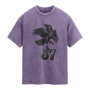 Funny Raven Brainrot Six Seven Meme Gift Washed Cotton T-Shirt