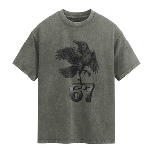 Funny Raven Brainrot Six Seven Meme Gift Washed Cotton T-Shirt